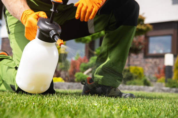 Best Local Pest Control Services  in Ellington, MO