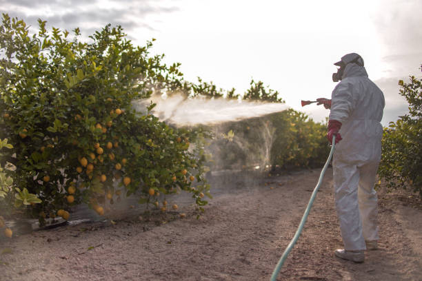 Best Wildlife Control Services  in Ellington, MO