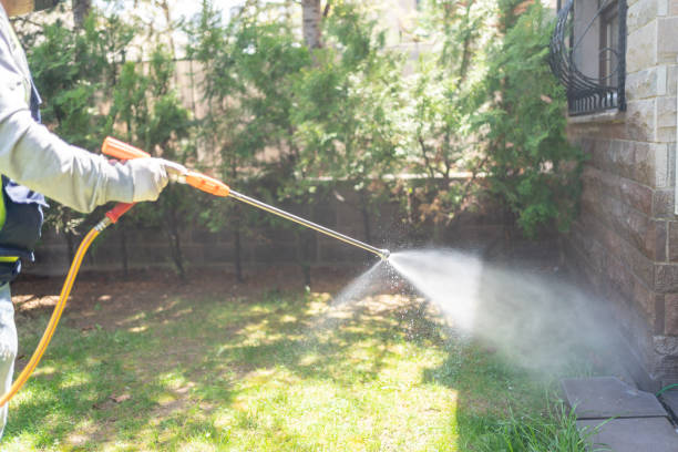 Best Flea Control Services  in Ellington, MO